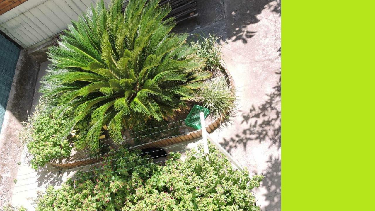 Nice/Nizza : Apartment المظهر الخارجي الصورة
